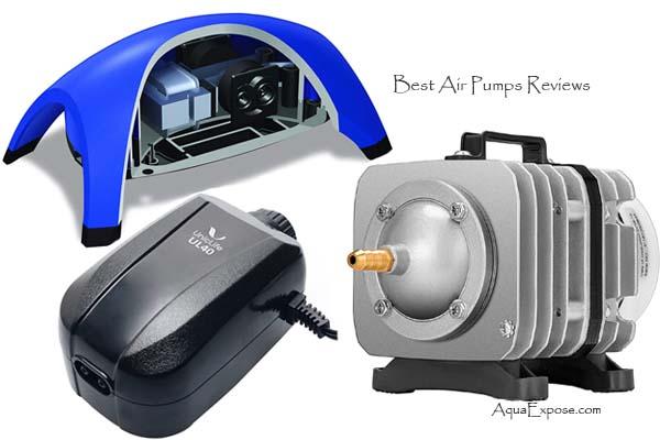 Top Best Air Pump For Aquarium